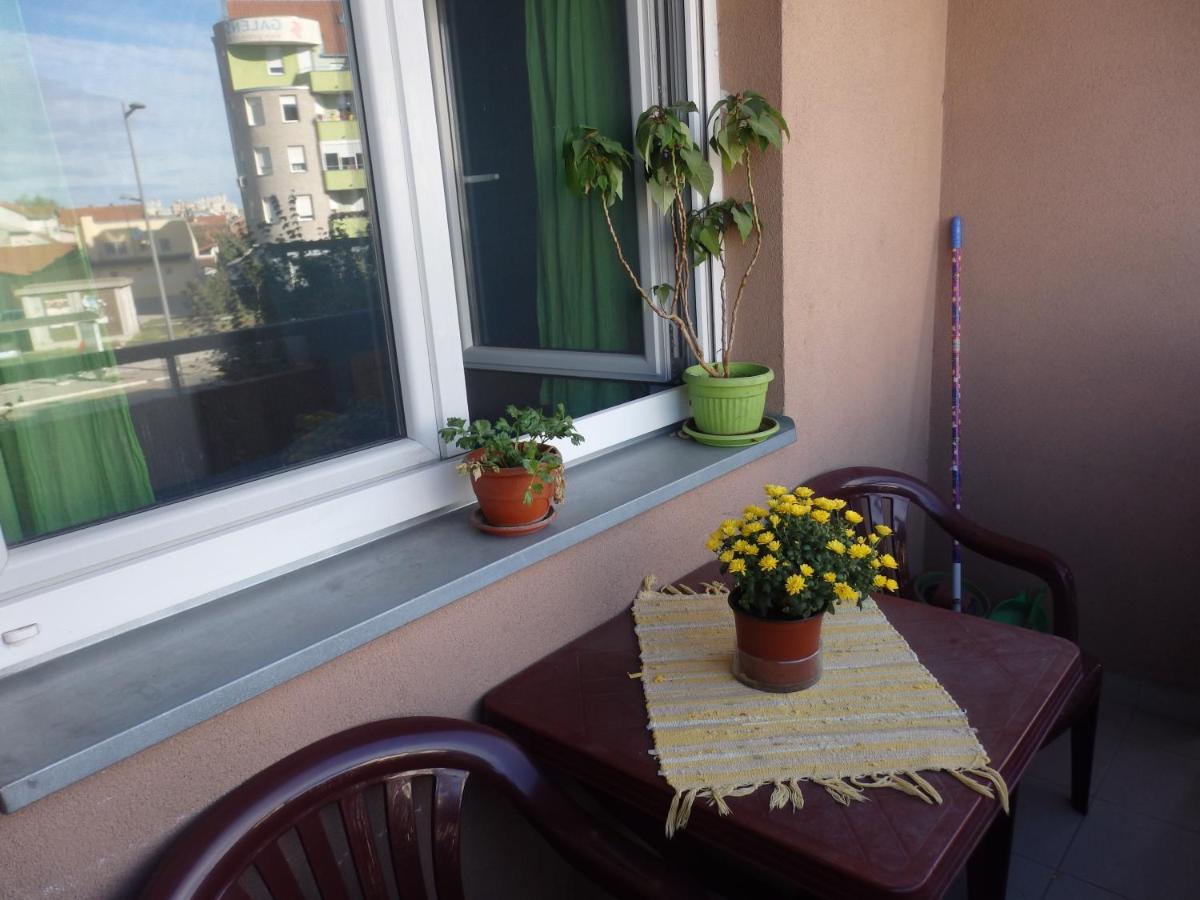 Apartment Erika 2 Novi Sad Exterior foto