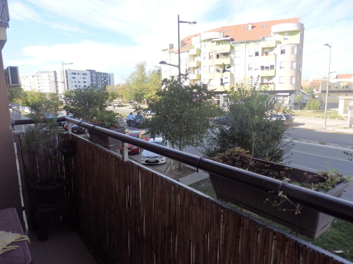 Apartment Erika 2 Novi Sad Exterior foto