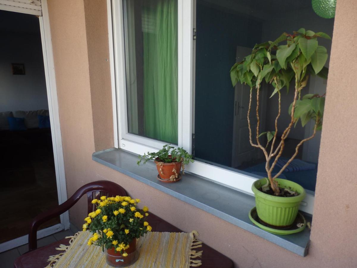 Apartment Erika 2 Novi Sad Exterior foto