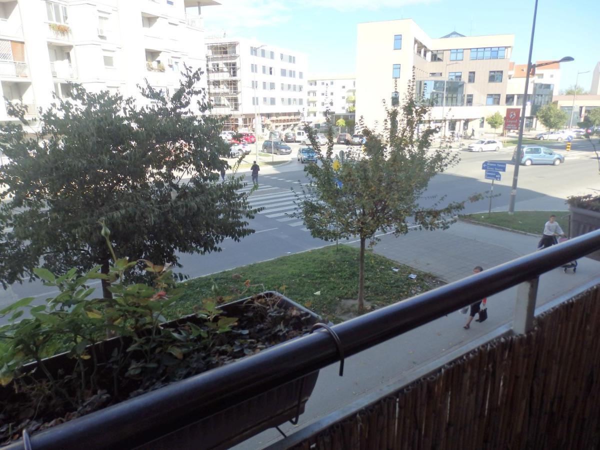 Apartment Erika 2 Novi Sad Exterior foto